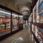 Okapie, collezione Piola